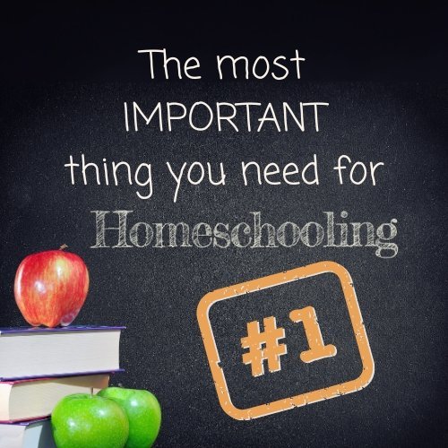Most Important Thing You Need To Homeschool