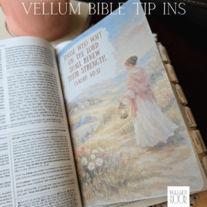 Renewed Strength Vellum Bible Tip In