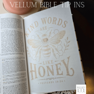 Kind Words Vellum Bible Tip In