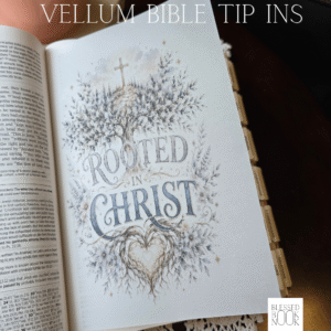 Rooted in Christ Vellum Bible Tip In