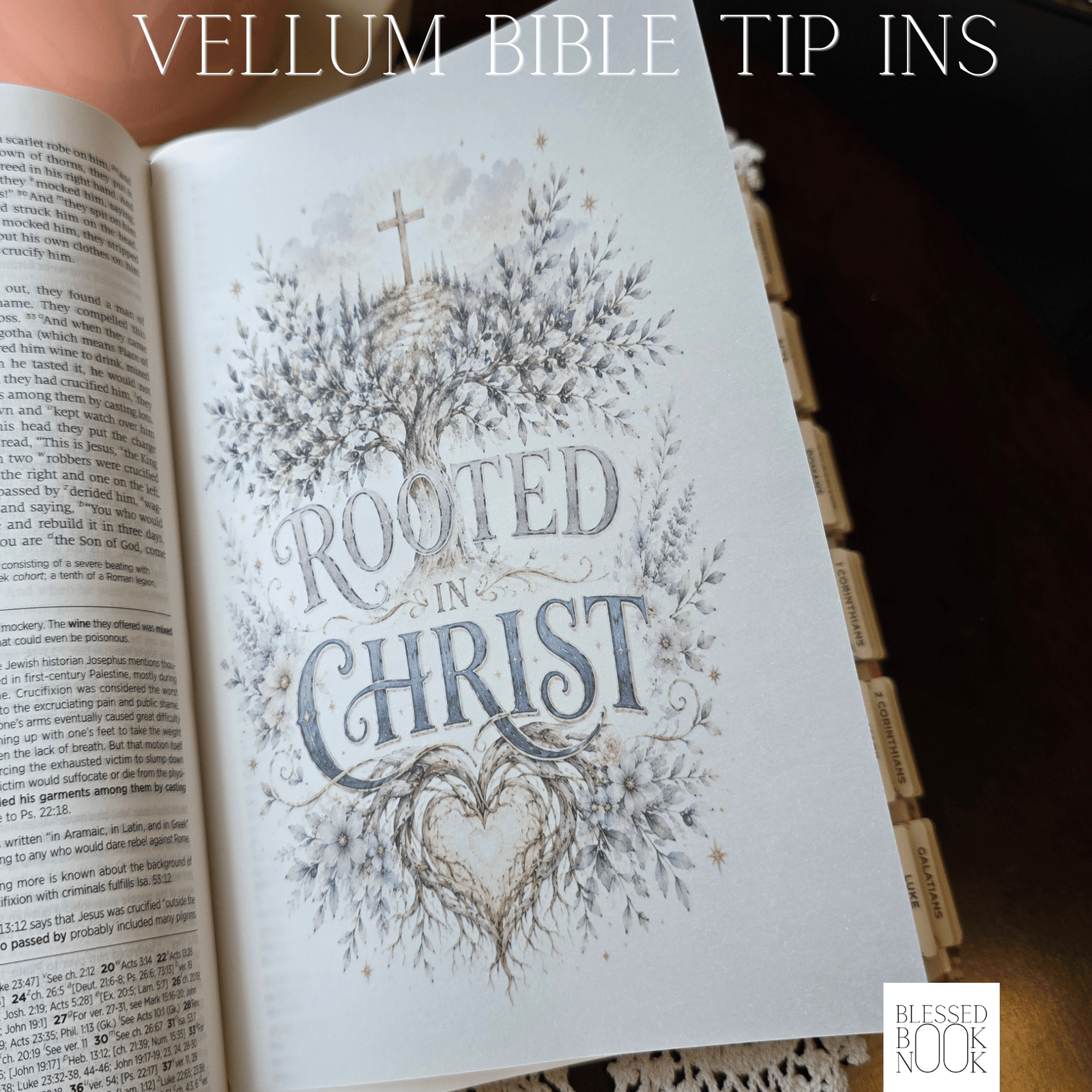 Rooted in Christ Vellum Bible Tip In