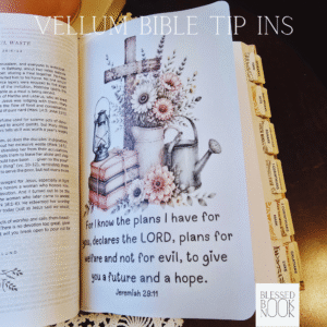 Future & Hope Vellum Bible Tip In